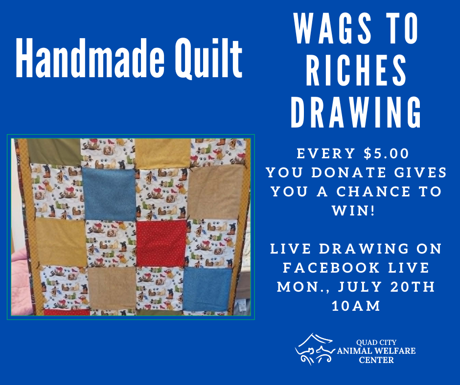 Wags to riches raffle 5